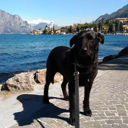 Casa Bianca 2* Malcesine